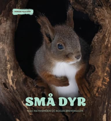 Omslag av "Små dyr"