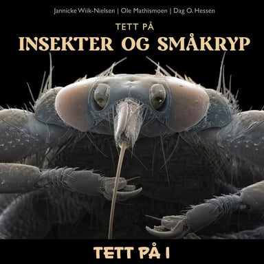 Omslag av "Tett på insekter og småkryp"