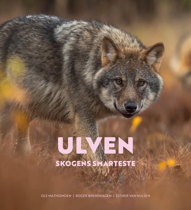 Omslag av "Ulven"