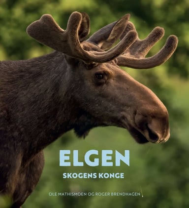 Omslag av "Elgen"