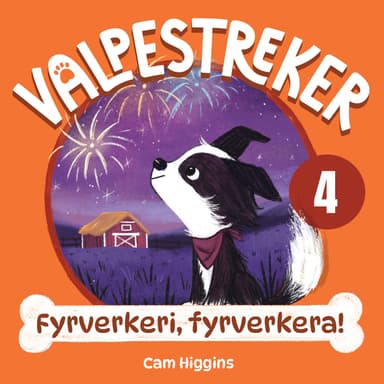 Fyrverkeri, fyrverkera!