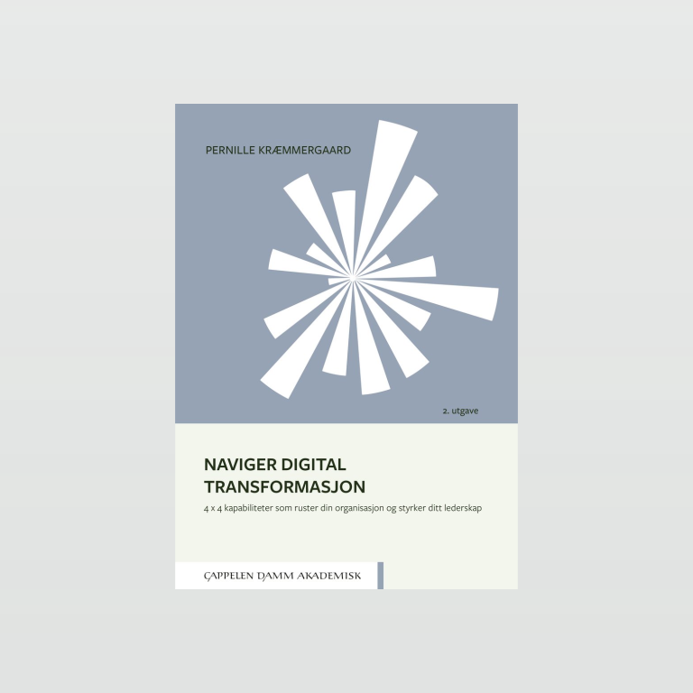 Naviger digital transformasjon | Norske Serier - alltid ekte leseglede